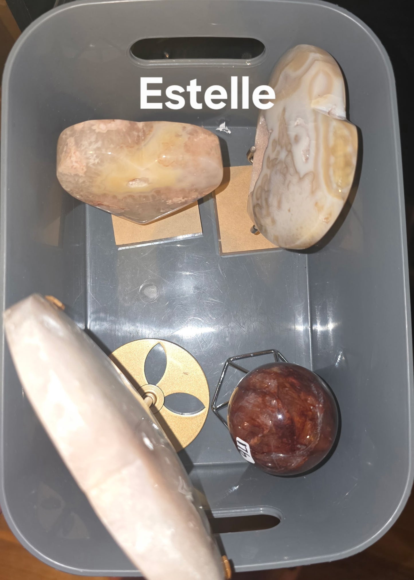 Estelle Bri 8/28