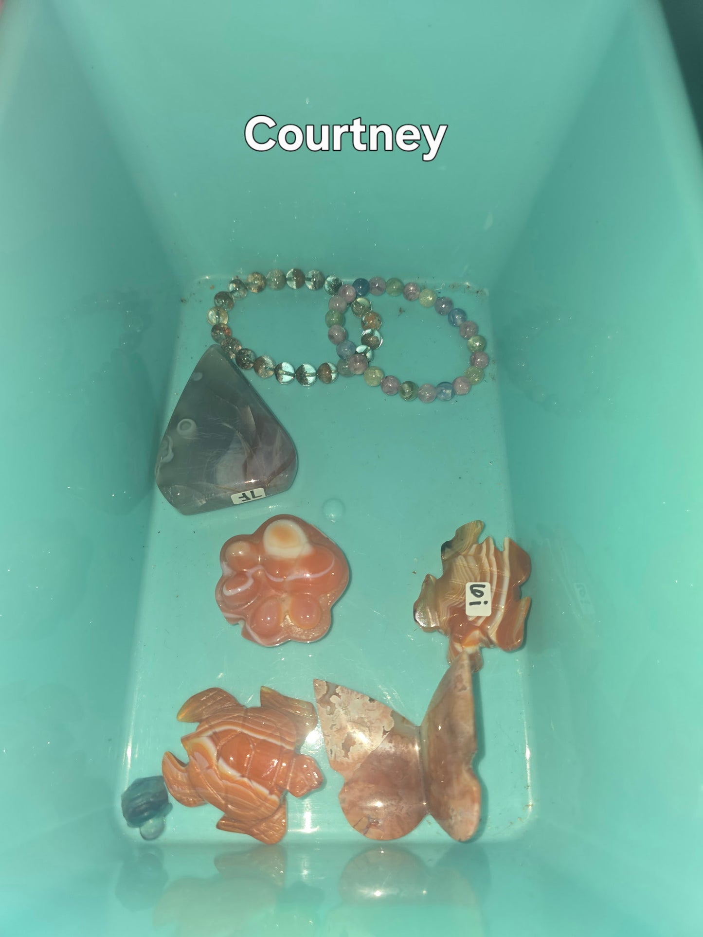 Courtney 8/29
