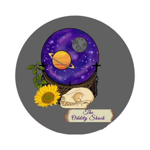 Oddity Shack