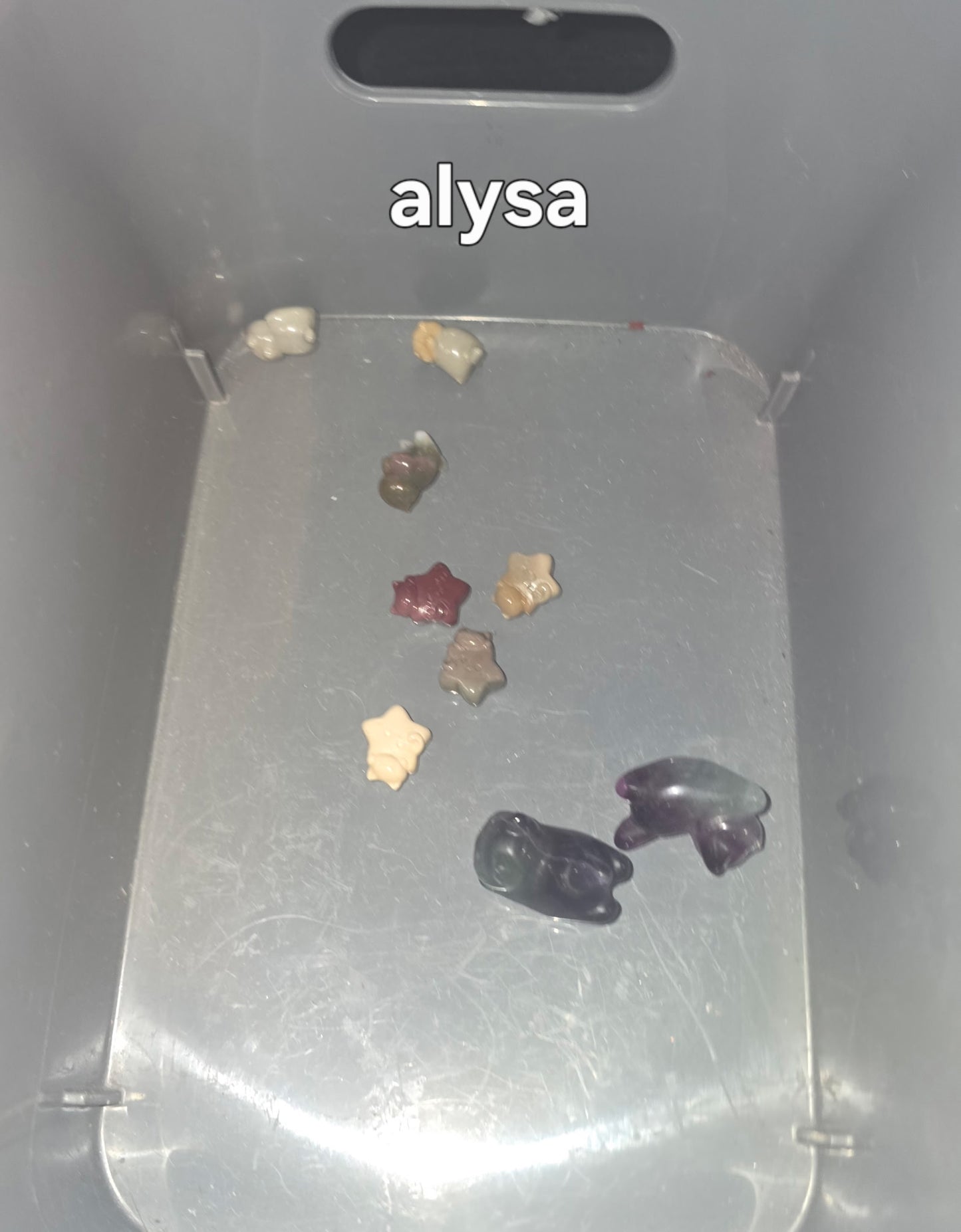 Dogmom Alysa 8/28