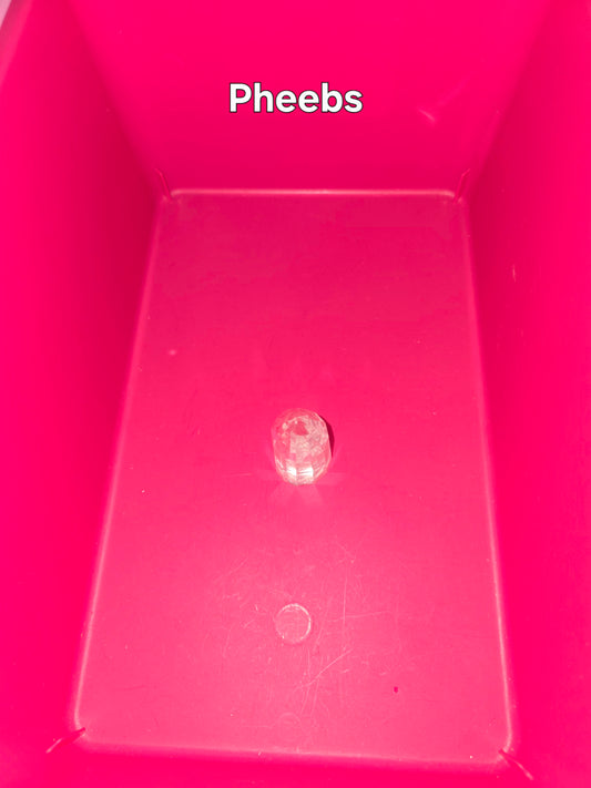 Pheebz 4/18