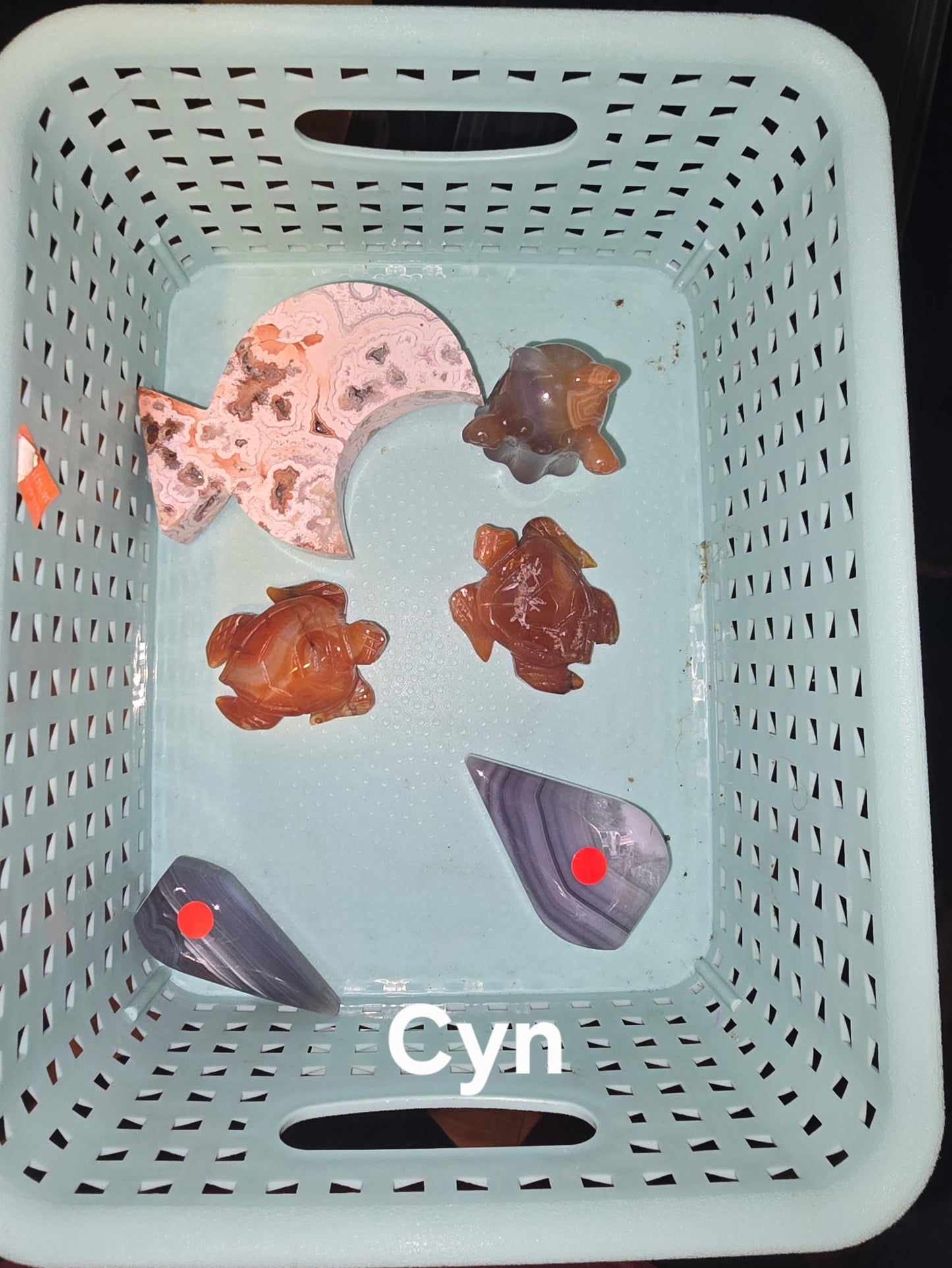 Cyn 8/29