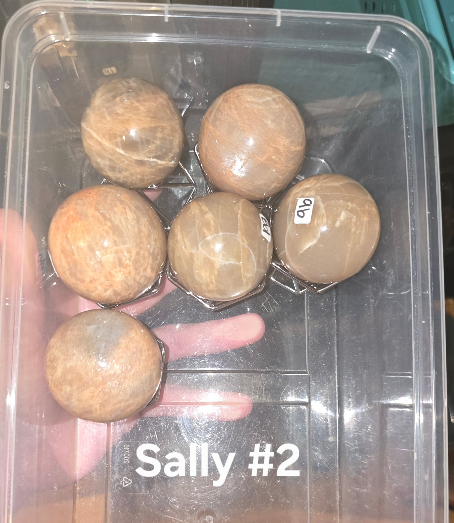 Sally Ann 6/29