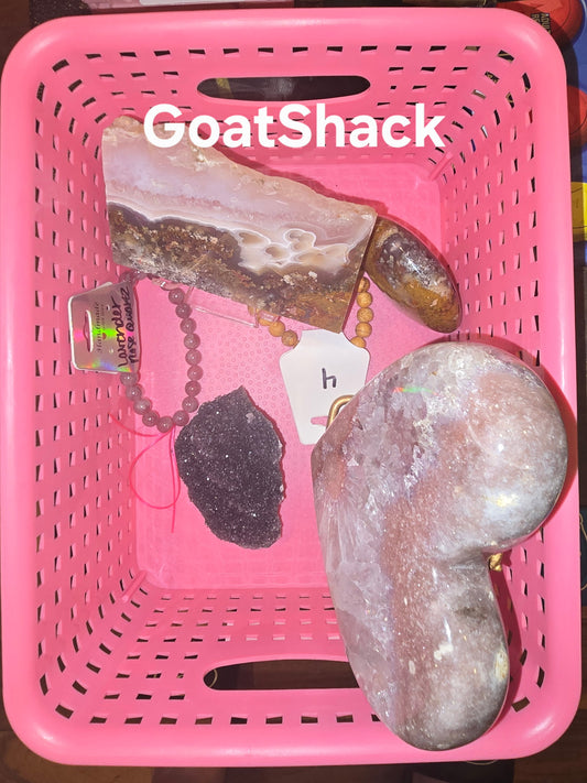 Goatshack Jenny 2/6