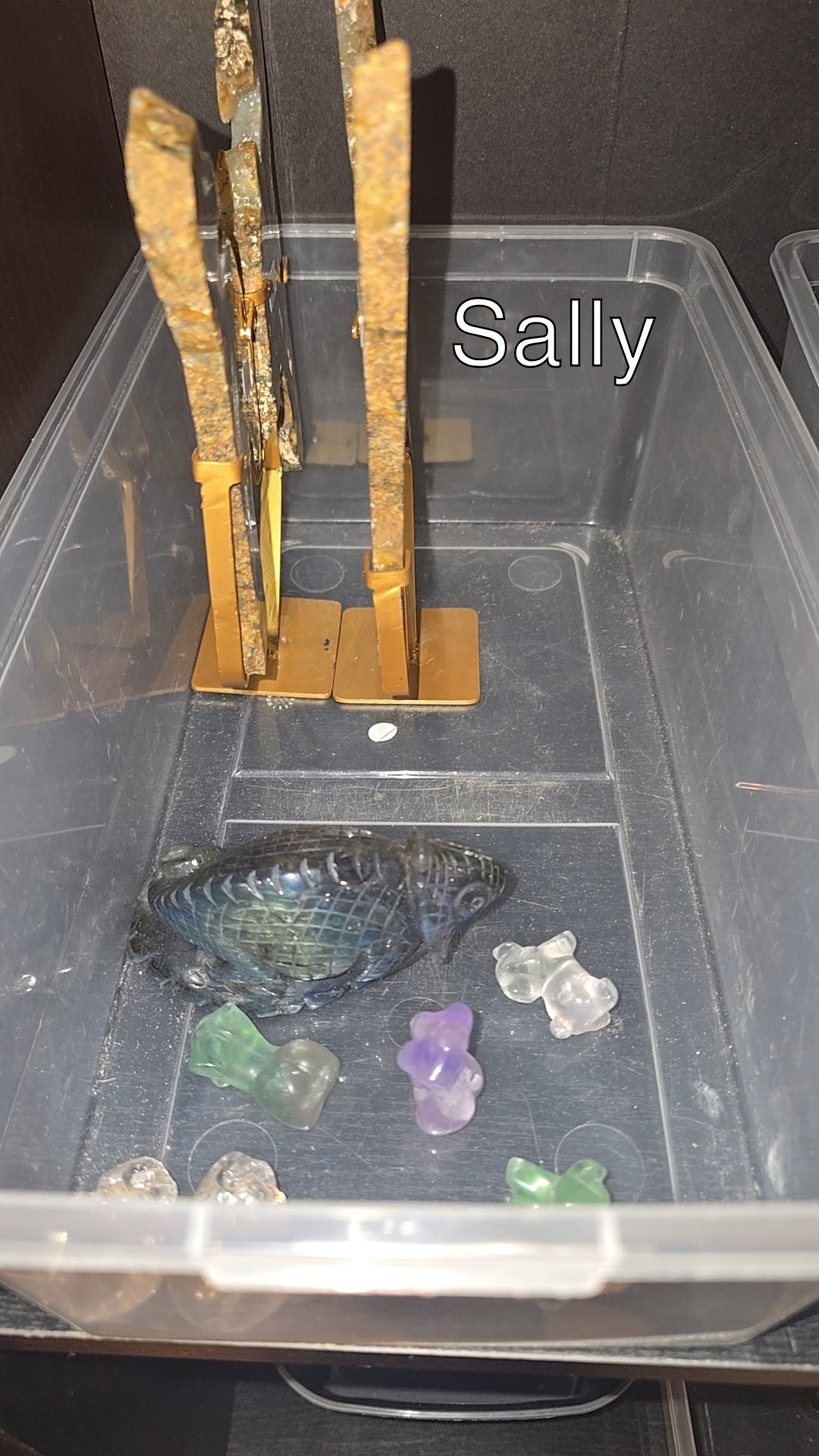 Sally Ann (Open)